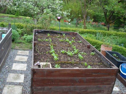 Mithilfe bei der Umgestaltung des Schulgartens | Silverberg-Gymnasium