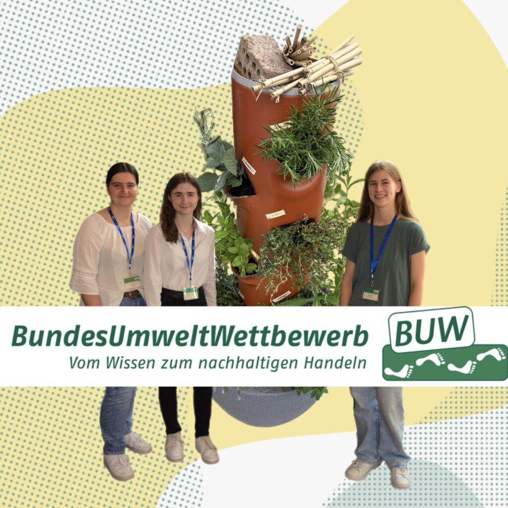 Mit Insektenhotel zum BundesUmweltWettbewerb – Schülerinnen des Silverberg-Gymnasiums in Kiel